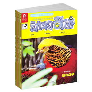 鿯ӡˢ